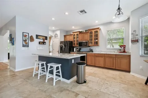 6125 Gannetdale Drive Lithia FL 33547