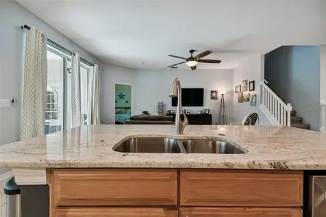 6125 Gannetdale Drive Lithia FL 33547