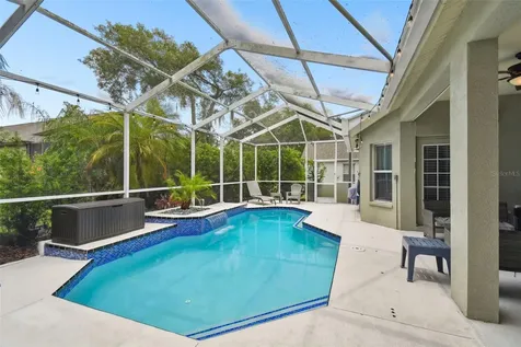 6125 Gannetdale Drive Lithia FL 33547