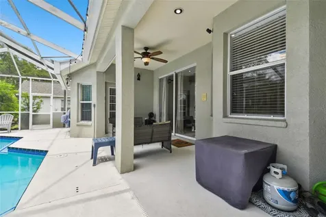 6125 Gannetdale Drive Lithia FL 33547