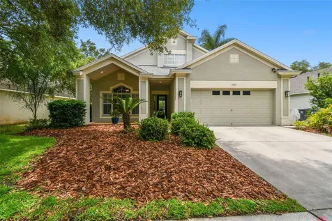 6125 Gannetdale Drive Lithia FL 33547