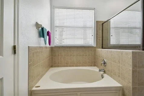 6125 Gannetdale Drive Lithia FL 33547