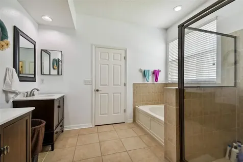6125 Gannetdale Drive Lithia FL 33547