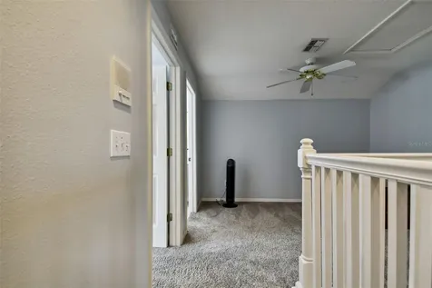 6125 Gannetdale Drive Lithia FL 33547