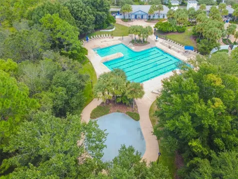 6125 Gannetdale Drive Lithia FL 33547