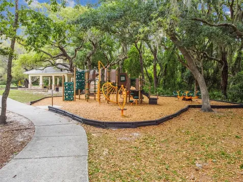 6125 Gannetdale Drive Lithia FL 33547
