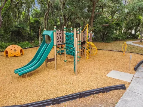 6125 Gannetdale Drive Lithia FL 33547