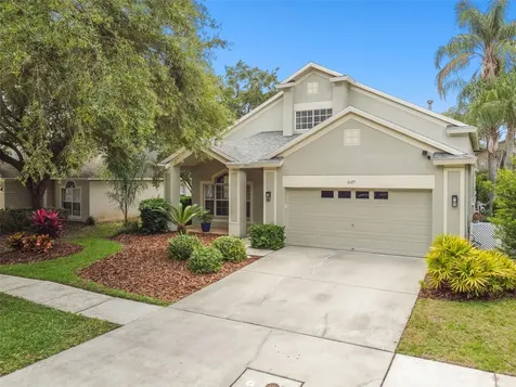 6125 Gannetdale Drive Lithia FL 33547