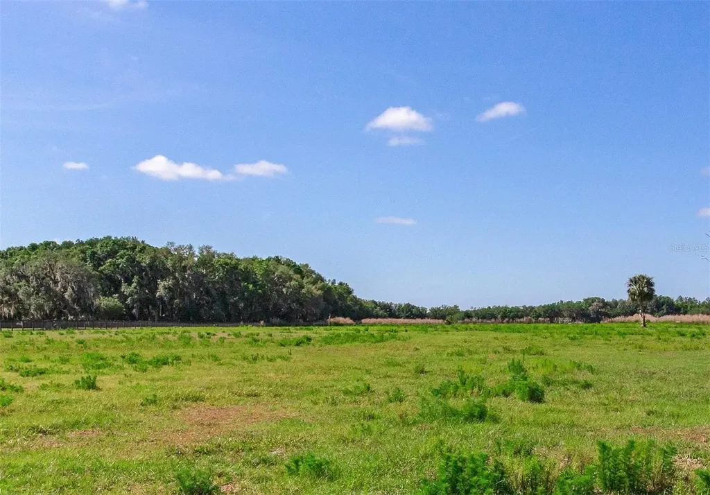 419 Jameson Road Lithia FL 33547