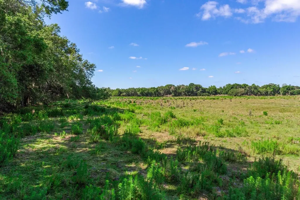 419 Jameson Road Lithia FL 33547