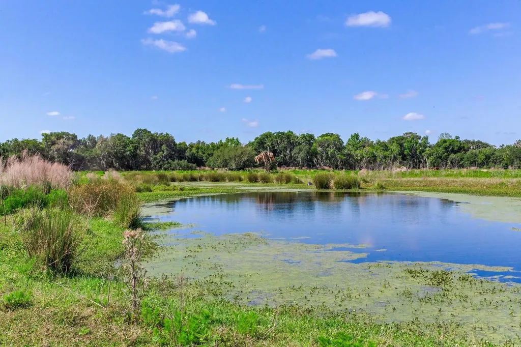 419 Jameson Road Lithia FL 33547