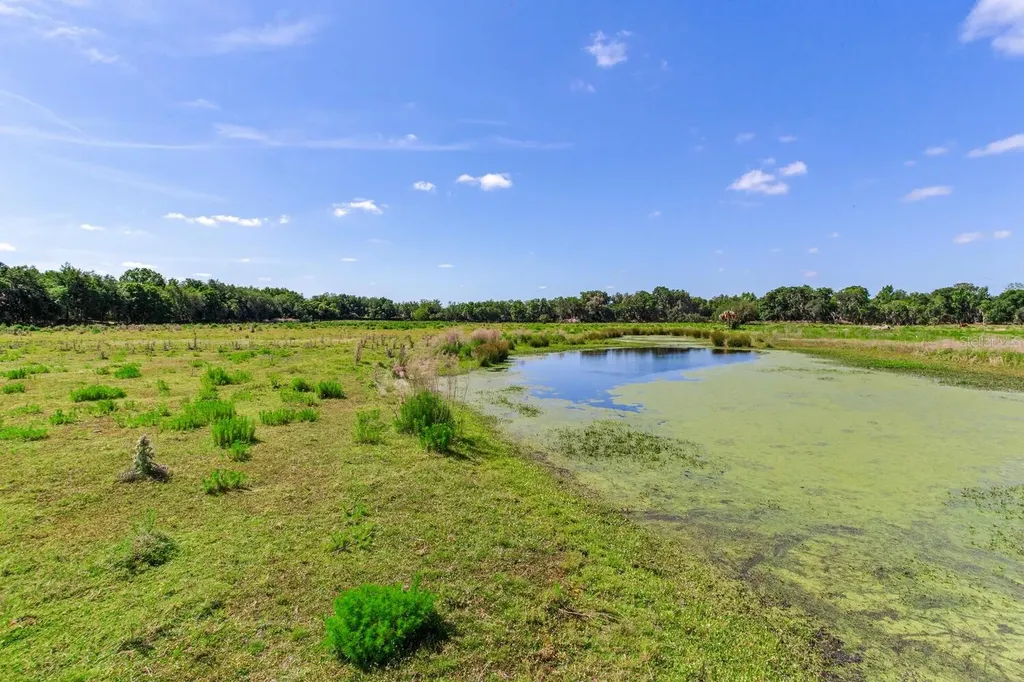 419 Jameson Road Lithia FL 33547