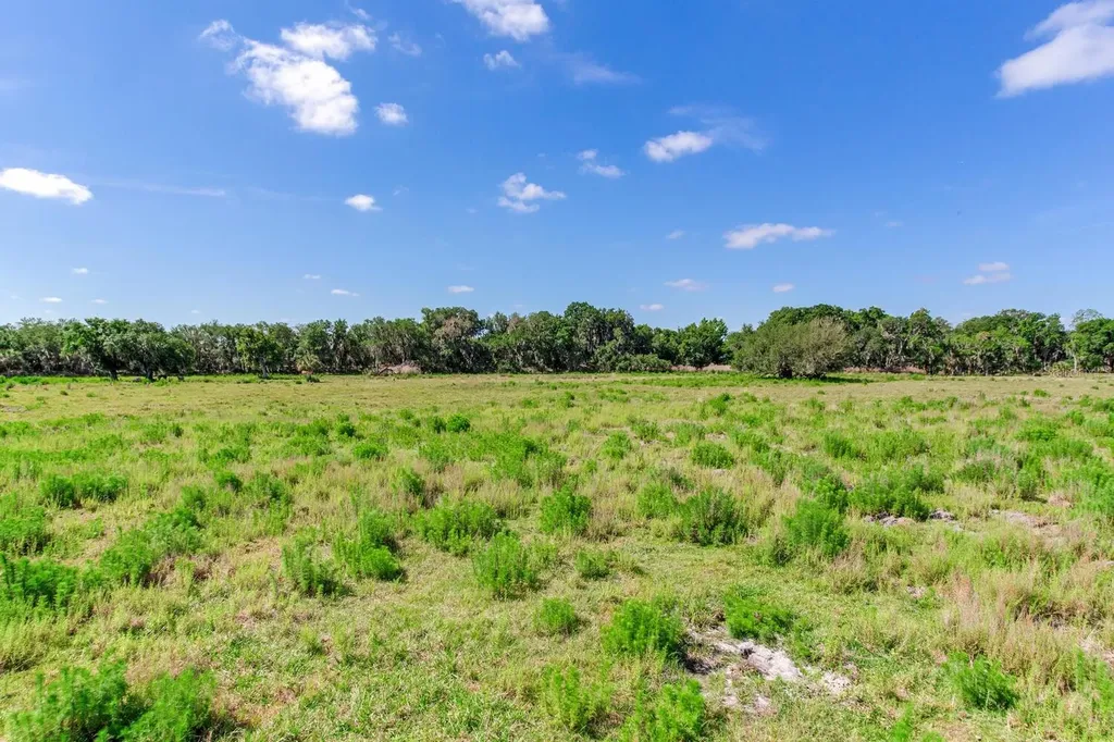 419 Jameson Road Lithia FL 33547