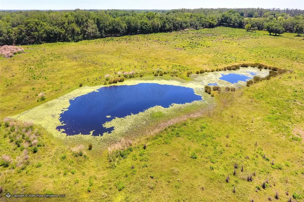 419 Jameson Road Lithia FL 33547