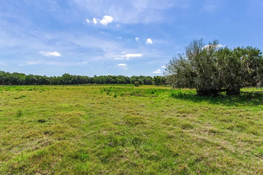 419 Jameson Road Lithia FL 33547