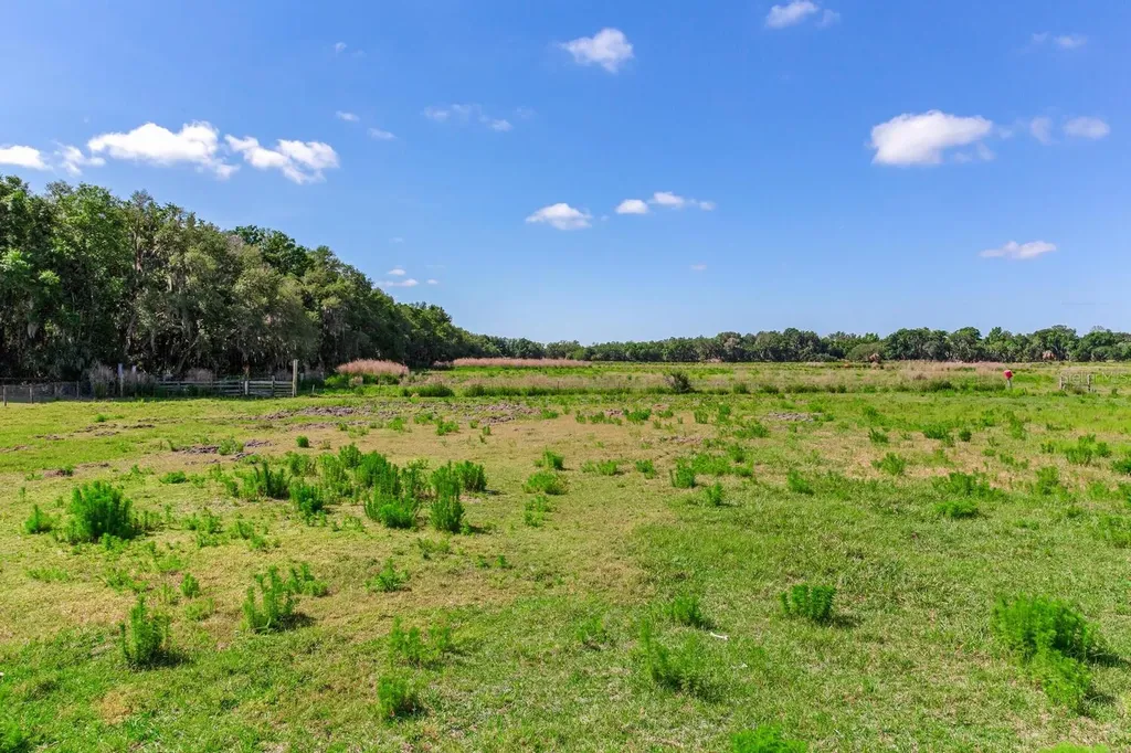 419 Jameson Road Lithia FL 33547