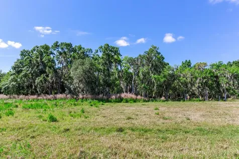 419 Jameson Road Lithia FL 33547