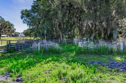 419 Jameson Road Lithia FL 33547