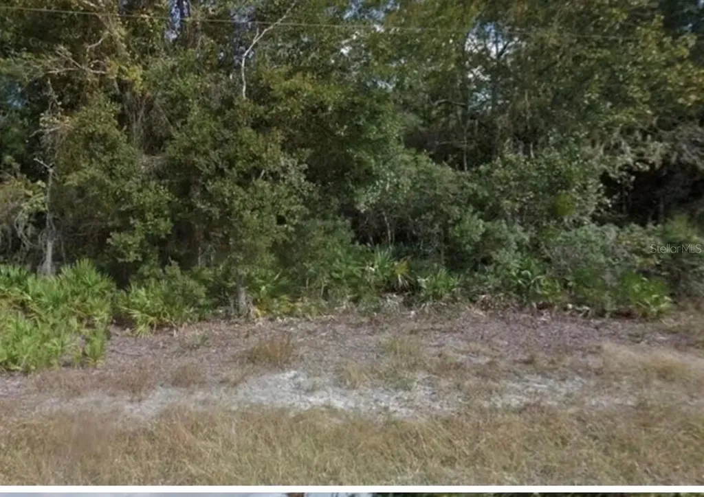0 Mitchell Avenue Mims FL 32754