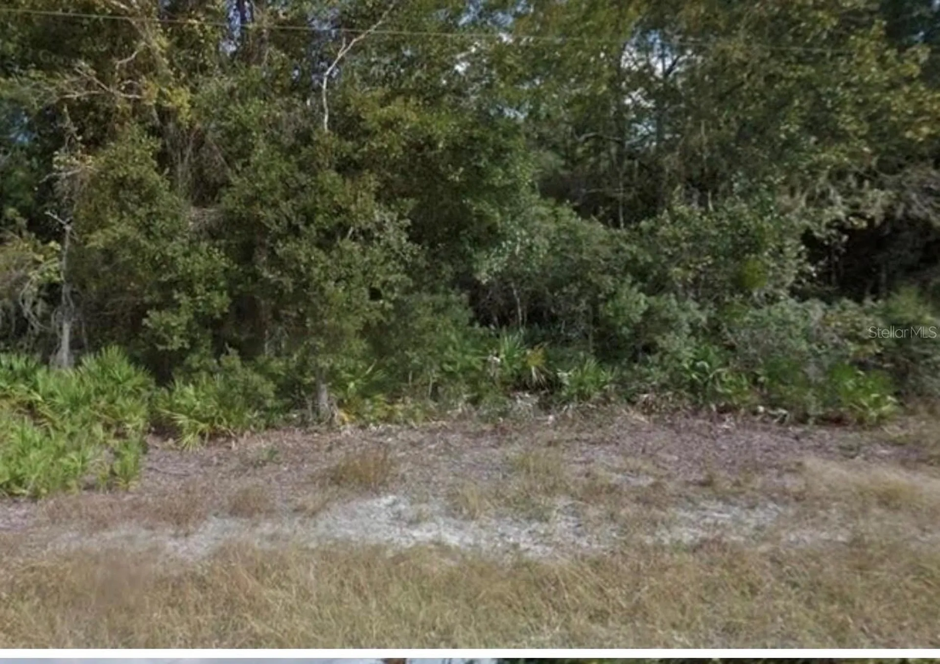 0 Mitchell Avenue Mims FL 32754