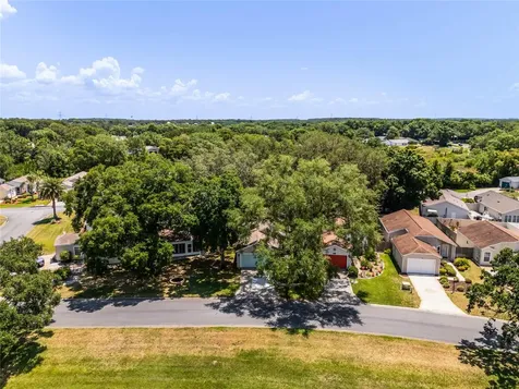 25320 Green Heron Drive Leesburg FL 34748