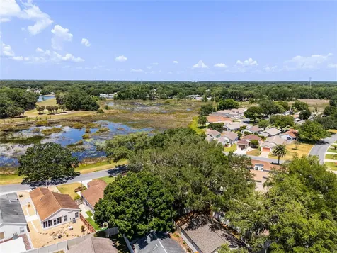 25320 Green Heron Drive Leesburg FL 34748