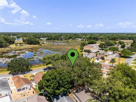 25320 Green Heron Drive Leesburg FL 34748