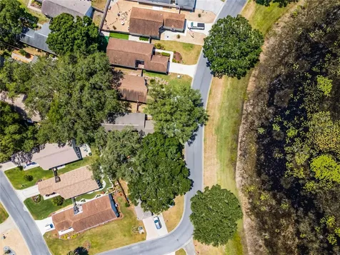 25320 Green Heron Drive Leesburg FL 34748