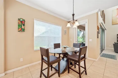 17331 Chelsea Downs Circle Lithia FL 33547