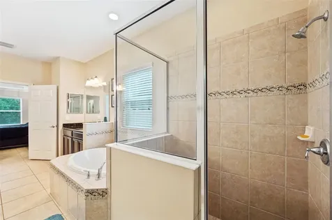 17331 Chelsea Downs Circle Lithia FL 33547