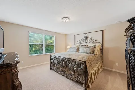 17331 Chelsea Downs Circle Lithia FL 33547