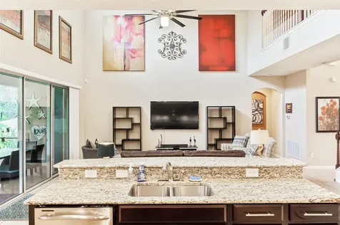 17331 Chelsea Downs Circle Lithia FL 33547