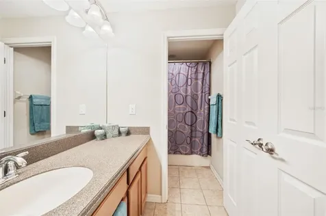 17331 Chelsea Downs Circle Lithia FL 33547