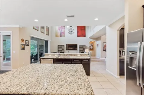 17331 Chelsea Downs Circle Lithia FL 33547