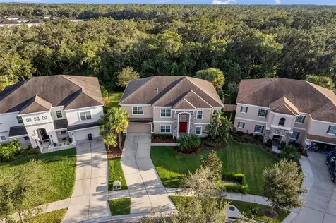17331 Chelsea Downs Circle Lithia FL 33547