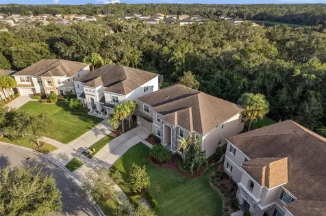 17331 Chelsea Downs Circle Lithia FL 33547