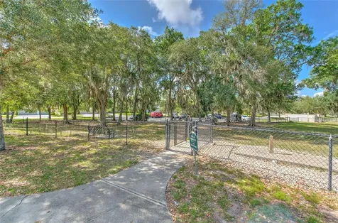 17331 Chelsea Downs Circle Lithia FL 33547