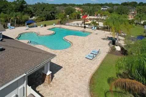 17331 Chelsea Downs Circle Lithia FL 33547