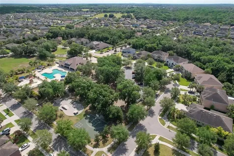 17331 Chelsea Downs Circle Lithia FL 33547