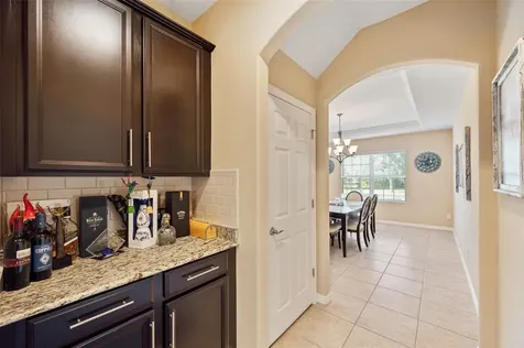 17331 Chelsea Downs Circle Lithia FL 33547