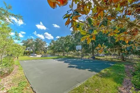 17331 Chelsea Downs Circle Lithia FL 33547