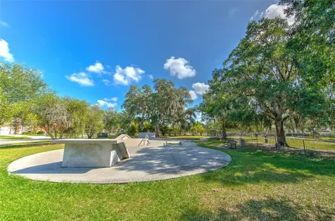 17331 Chelsea Downs Circle Lithia FL 33547