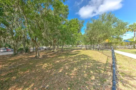 17331 Chelsea Downs Circle Lithia FL 33547