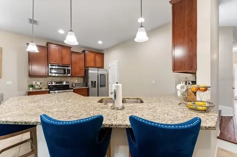 26909 Juniper Bay Drive Wesley Chapel FL 33544