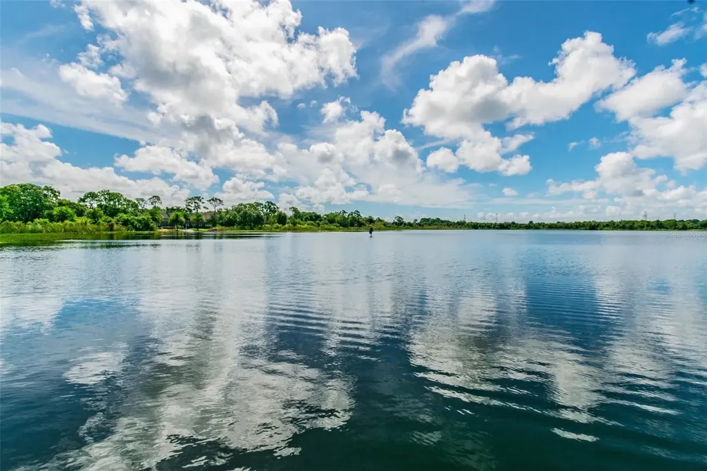 3839 Berkshire Court Palm Harbor FL 34684