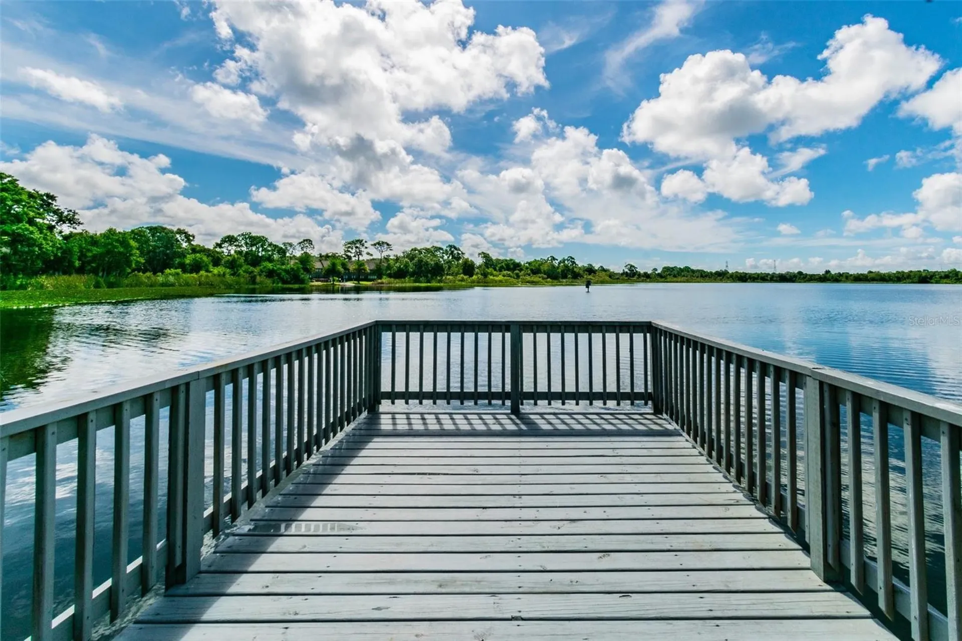 3839 Berkshire Court Palm Harbor FL 34684