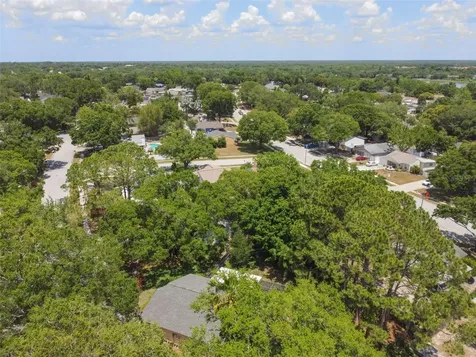 3839 Berkshire Court Palm Harbor FL 34684