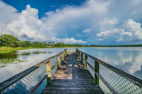 3839 Berkshire Court Palm Harbor FL 34684