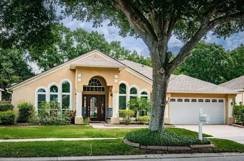 4006 Water Park Court Riverview FL 33578
