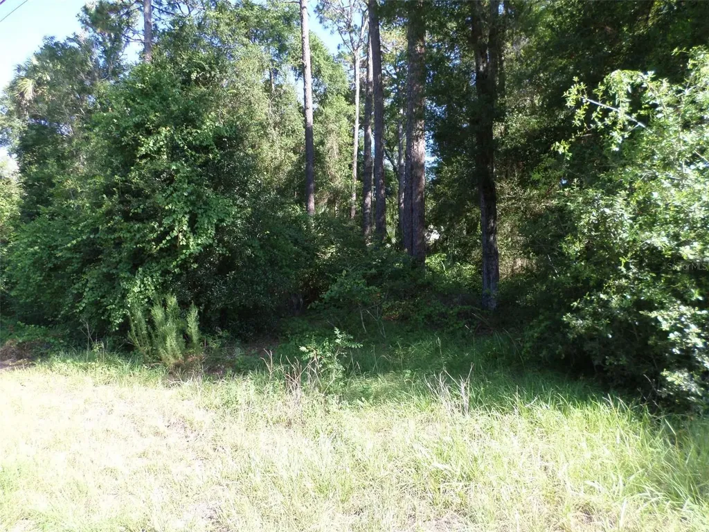 00 W. Highway 40 Dunnellon FL 34431